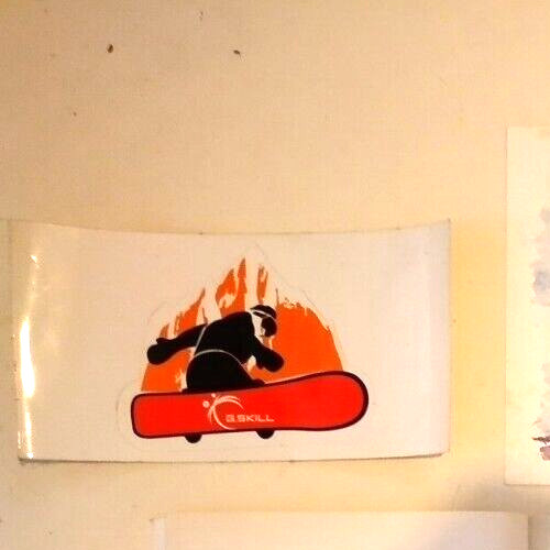 G-SKULL Skater boy on fire STICKER