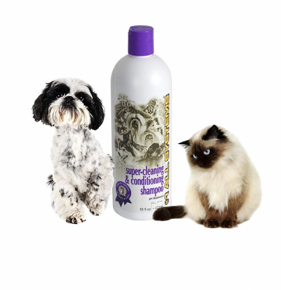 #1 All Systems Super Cleaning & Conditioning Shampoo . The Basics