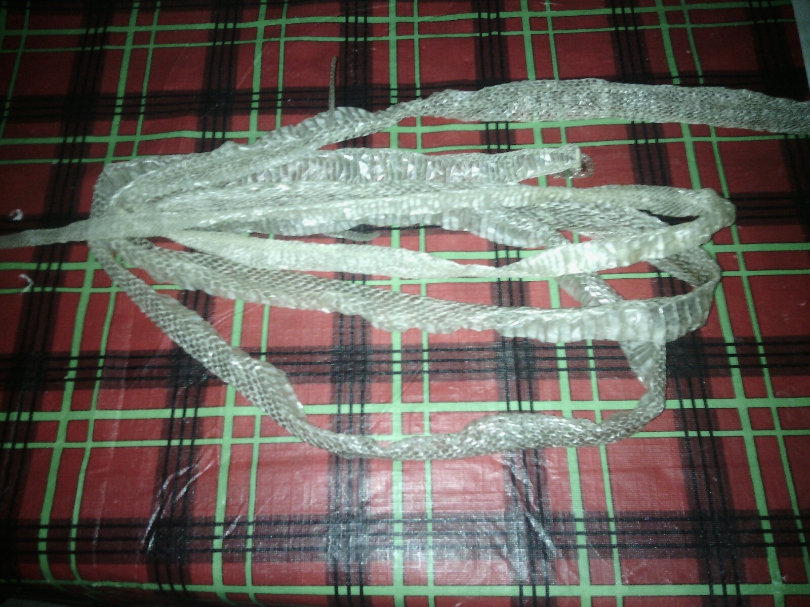 snake shed  for your art or to pull a trick on people or your snake