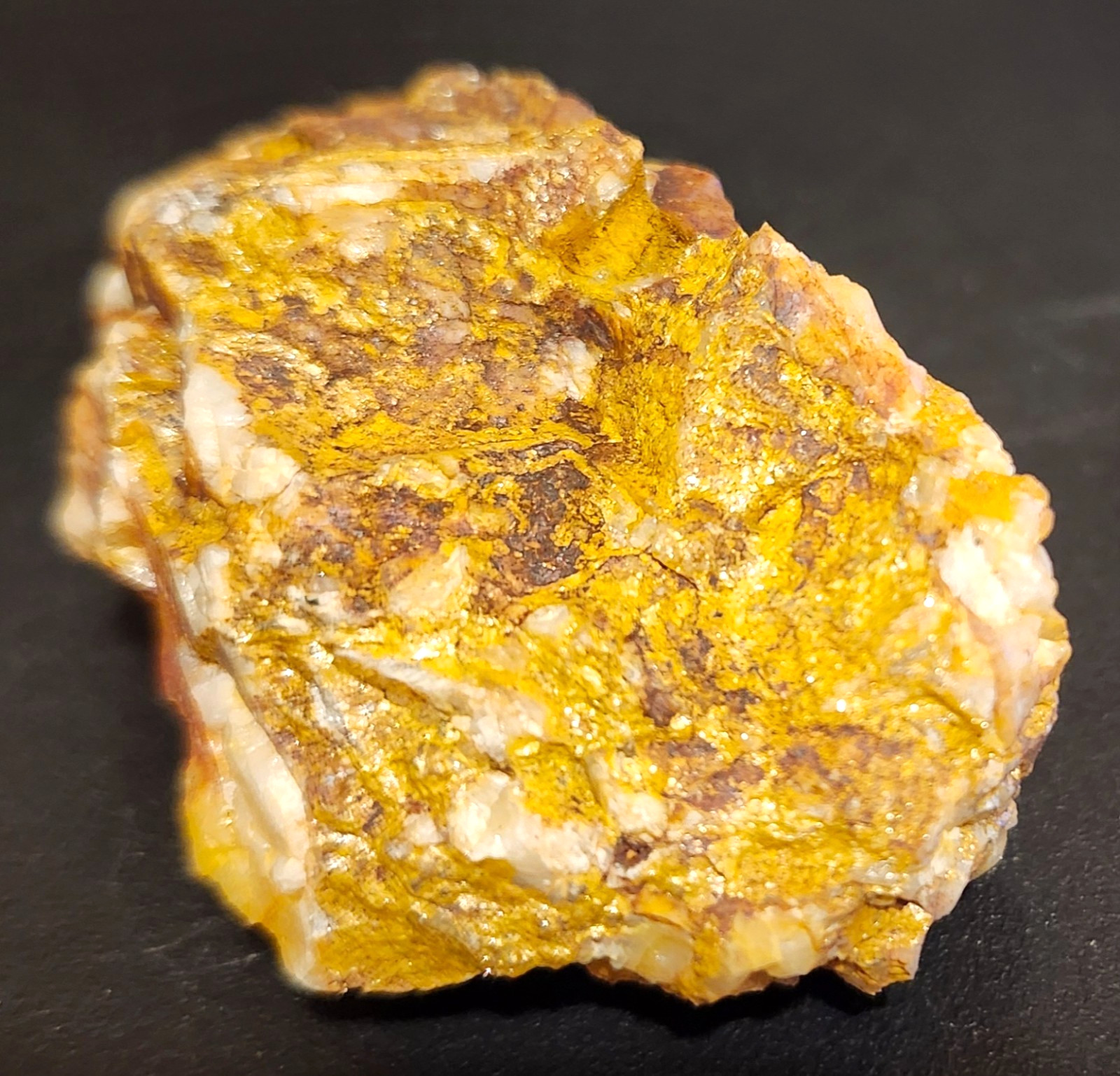 Gold Ore Specimen /Quality Visible Gold