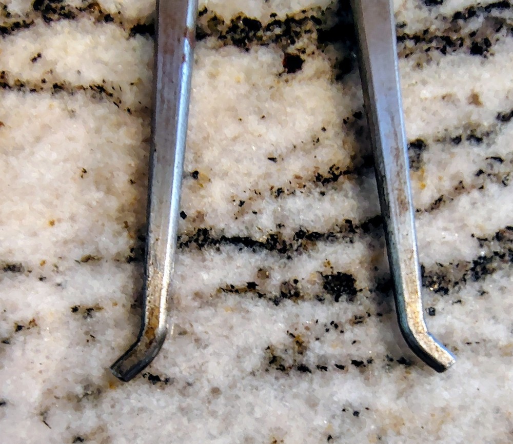 🗽VINTAGE GENERAL 6" ID CALIPER