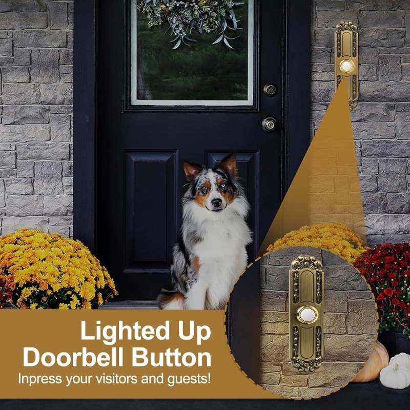 Solid Brasses Doorbell Button Weatherproof LED Illuminated Outdoor Easy Mount