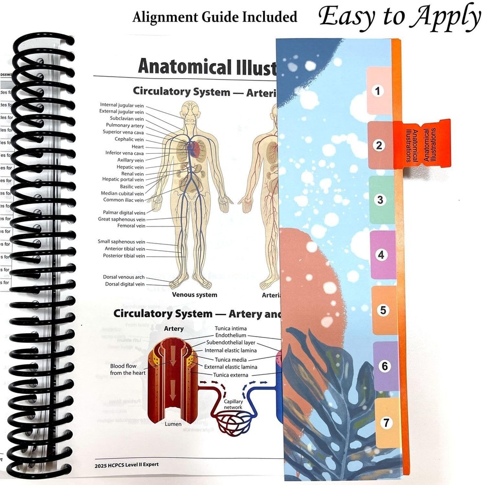 Update Book Tabs for HCPCS Level II Expert 2026 Edition (AAPC), 96 Color-Coded B