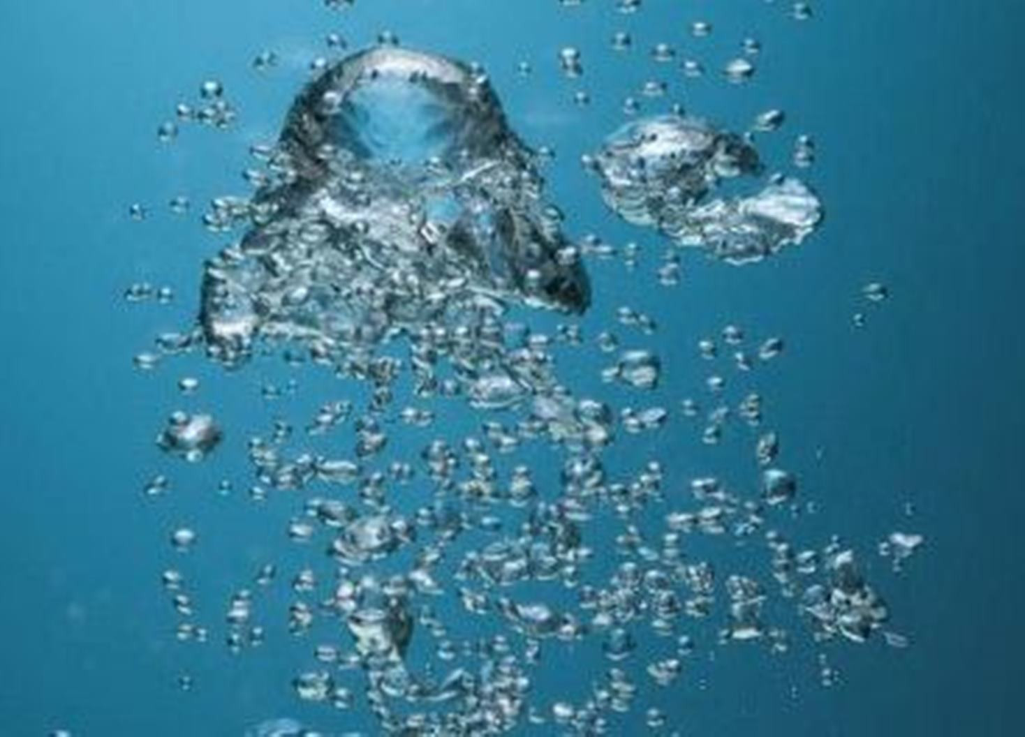 5Lb Coconut Shell Bulk Activated Charcoal(Activated Carbon)Granules-water filter