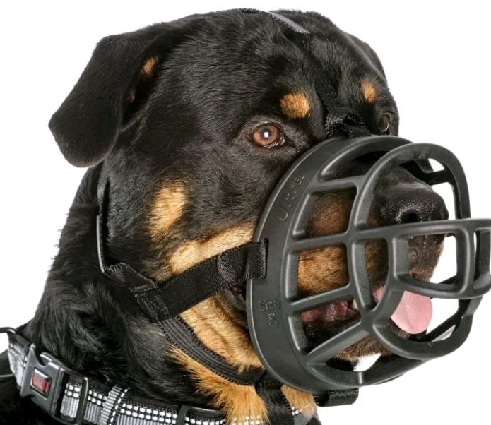 Baskerville Ultra Muzzle w/Training Clicker, Size 6 Black