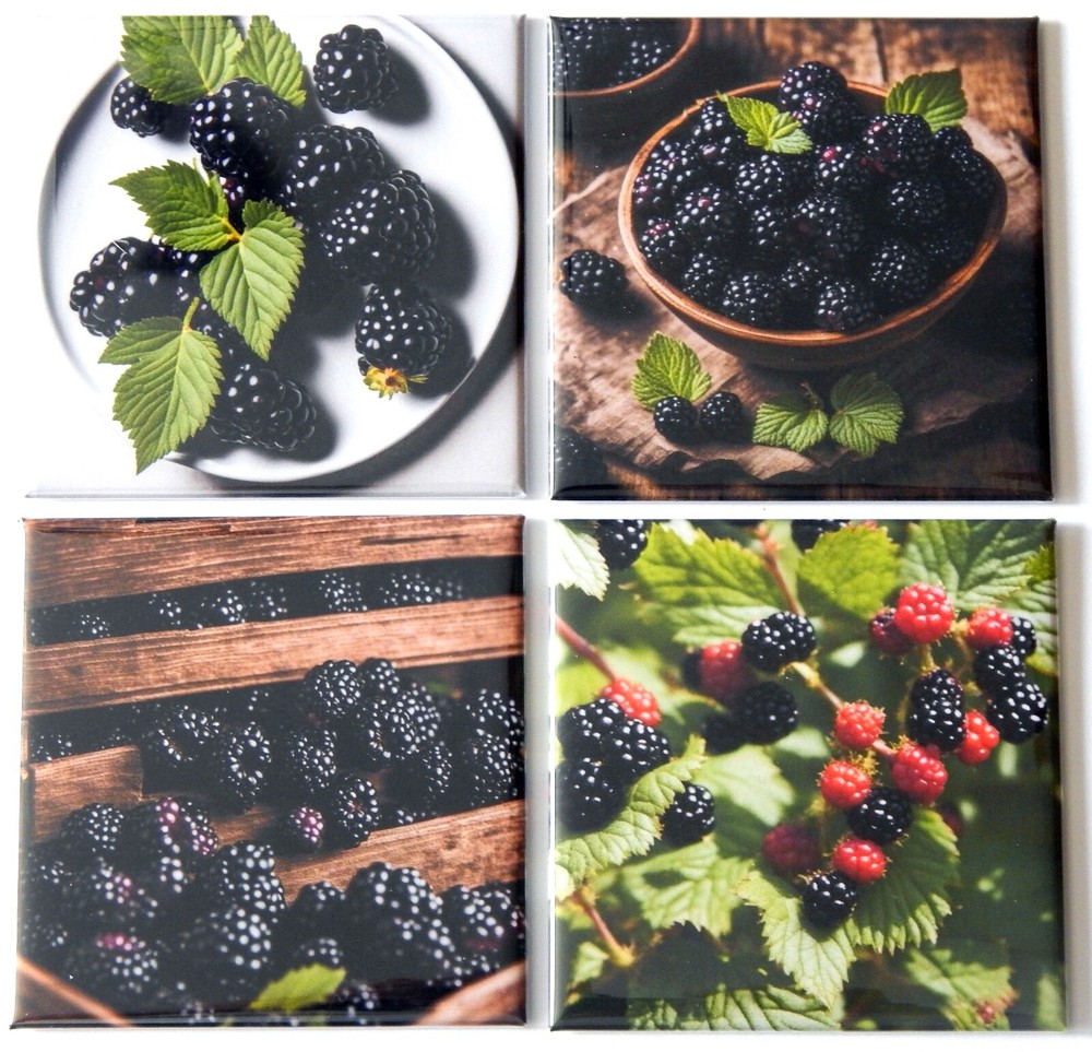 Blackberries FRIDGE MAGNET Set "style C"