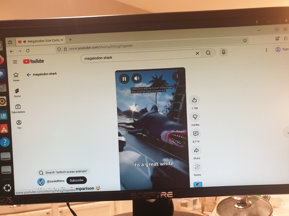 Linux Ubuntu 25.10, 64-bit, Bootable Live and Install USB Flash Drive