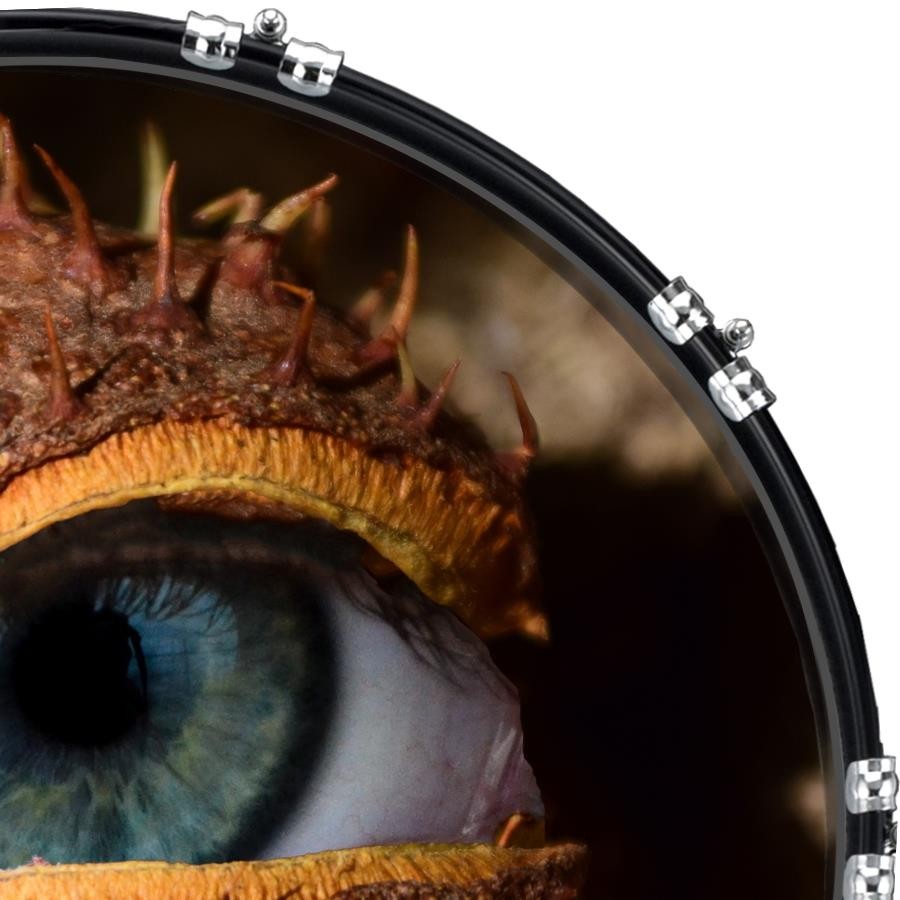 Custom 22" Kick Bass Drum Head Graphical Image Front Skin Eye Conker