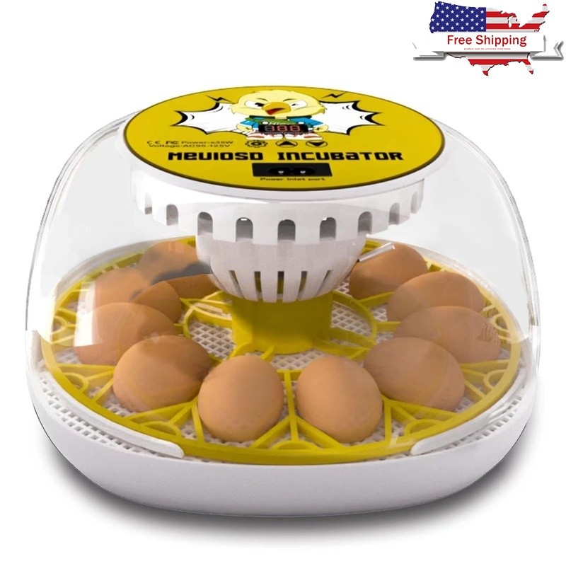 Egg Incubator Automatic Turning Transparent Top External Water Addition Hatching