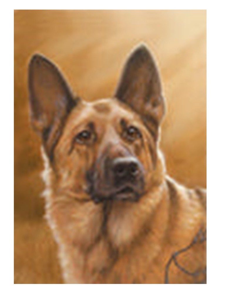 German Shepherd Potrait Garden Flag