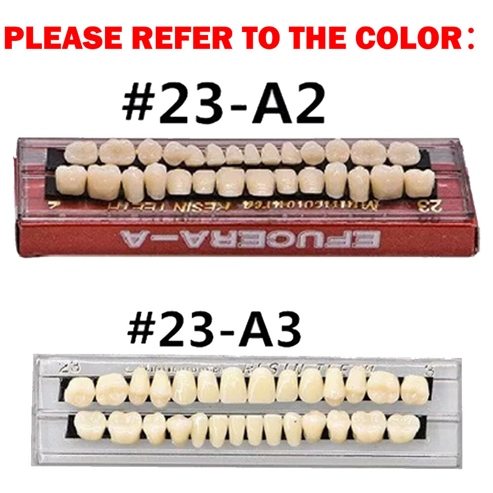 Dental Acrylic Resin Denture Shade A2 A3 Upper Lower Full Set False Teeth