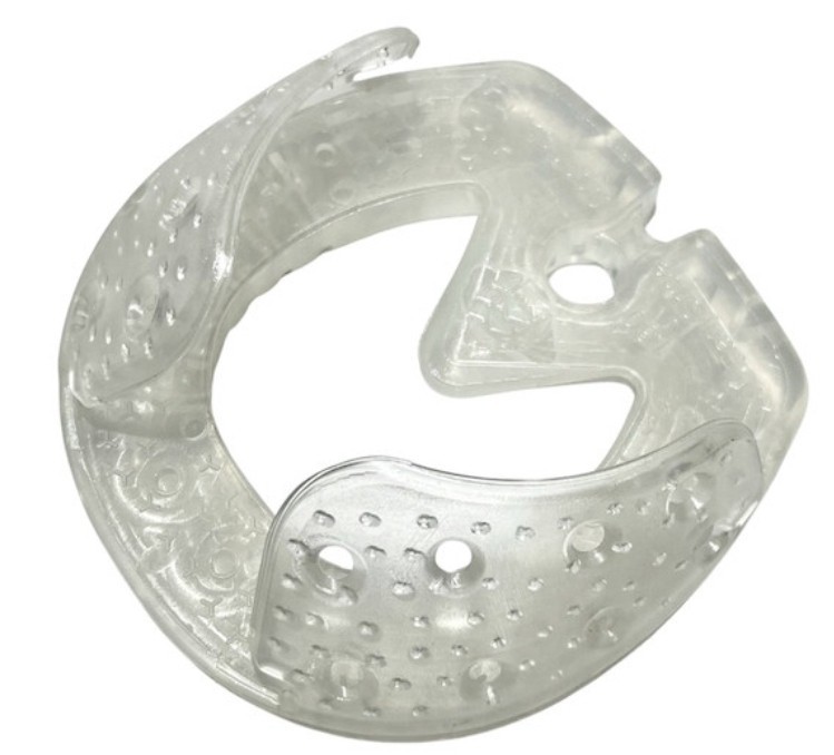 horse shoes