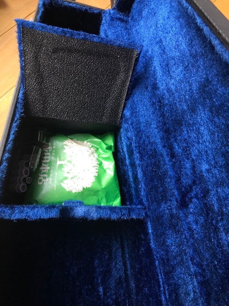 Mandolin SUZUKI226 8 string with case