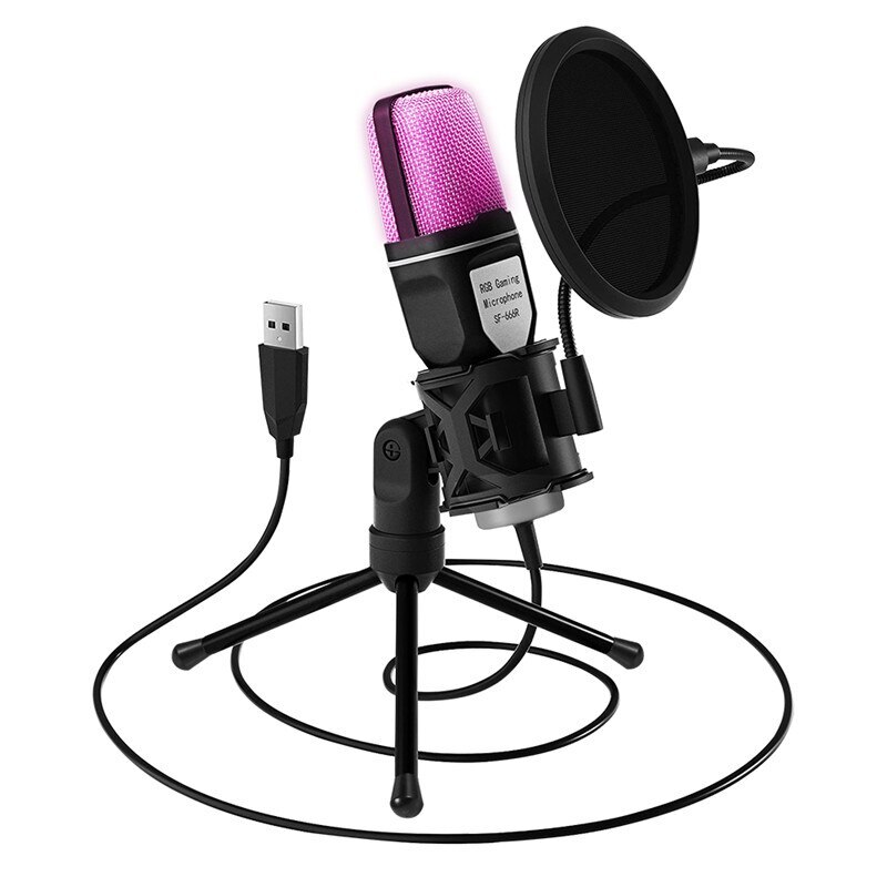 Desktop Condenser Microphone Mic Kit Broadcasting Studio Recording for PC Laptop