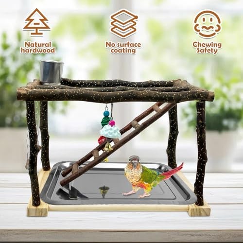 Bird Play Gym Stand for Parrots & Cockatiels - Wooden Perch, Climbing Ladders, C