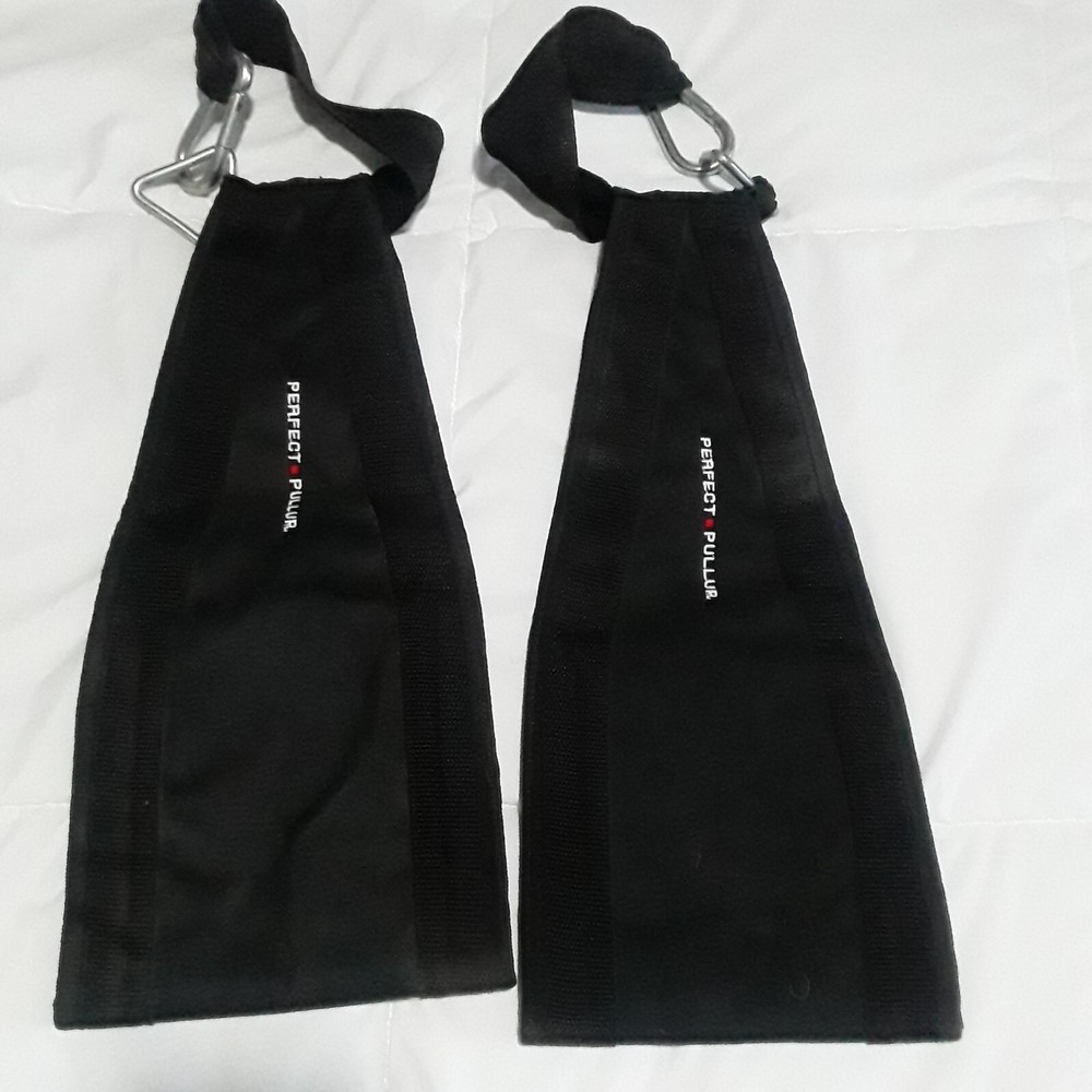 Perfect Pull AB Straps Workout POSTER Double Sided Exercise