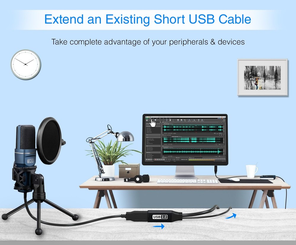 BlueRigger USB Extension Cable (100FT, Long Active 100FT, Black 2.0