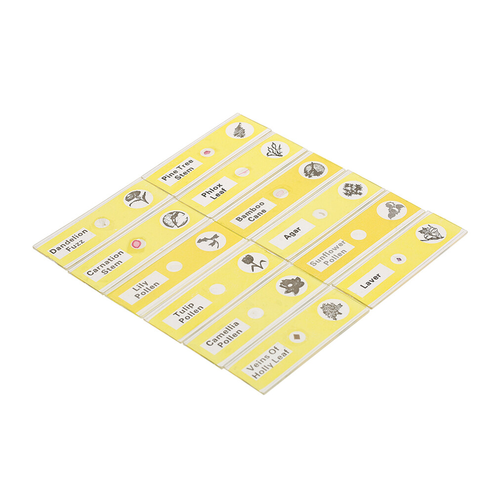48pcs/set Prepared Microscope Slides Animals Insects Plants Sample Y4D1