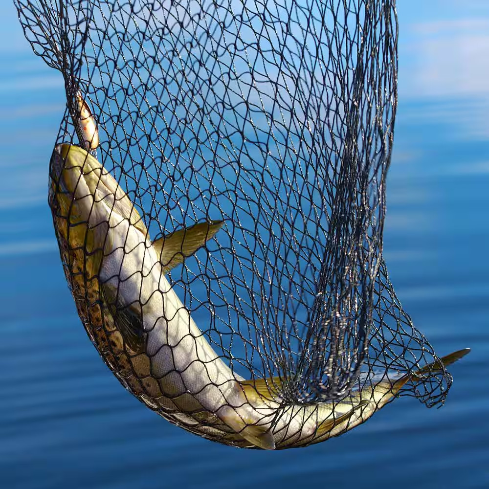 80 In. Fishing Net with Telescoping Handle