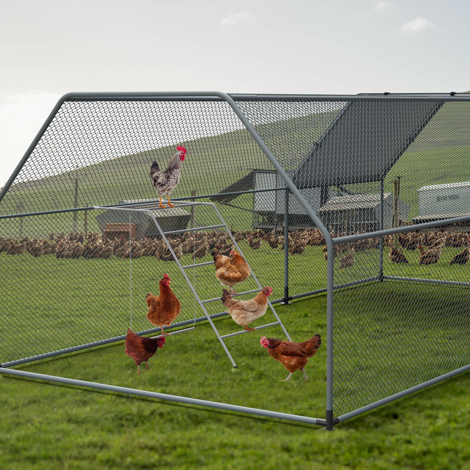 Chicken Coop Perches with Swing, Metal Chicken Roosting Bars, Chicken Run Toy...