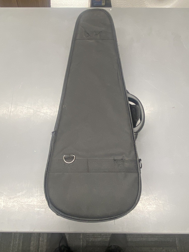 Franz Hoffmann Maestro Violin W/ Bow & Case