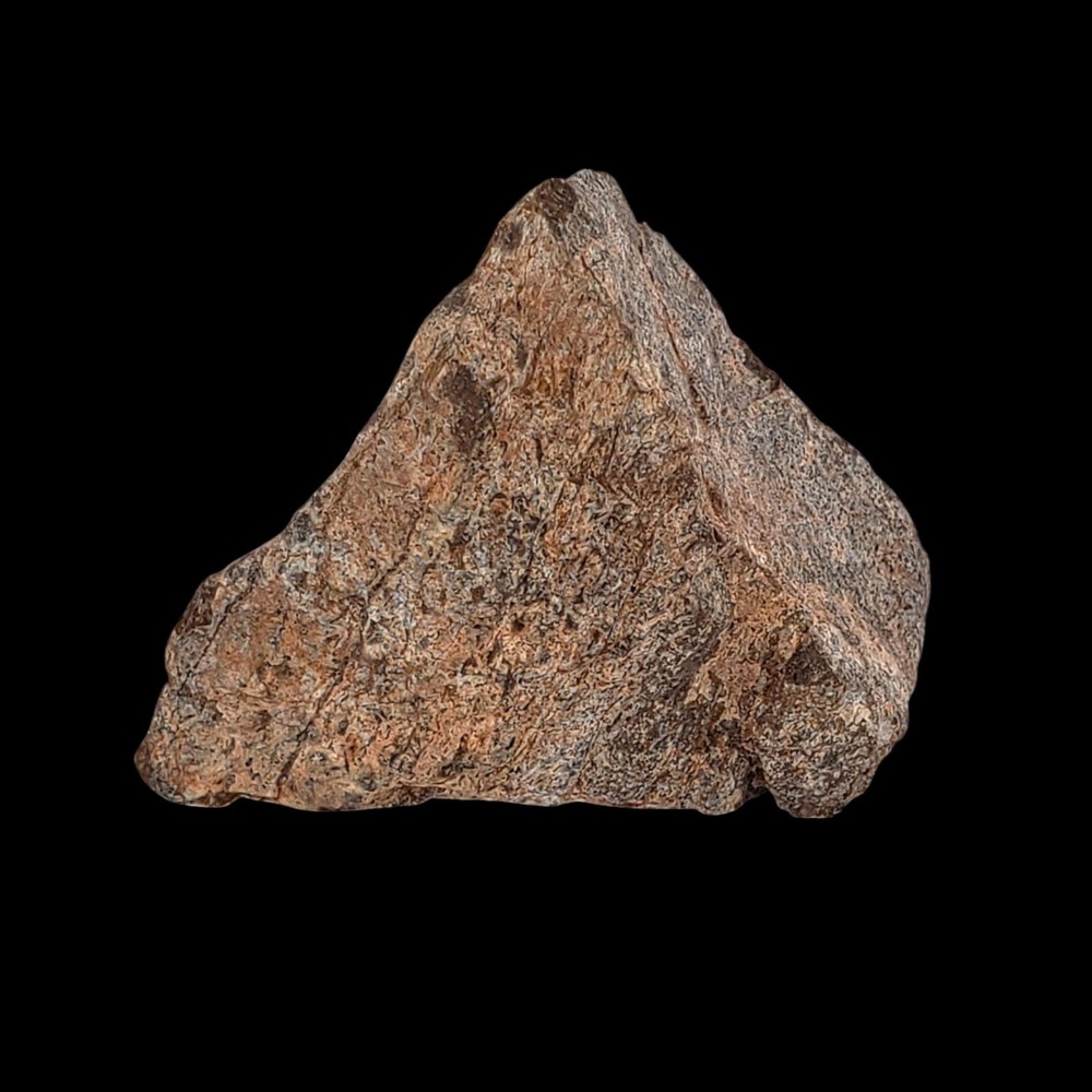 Jurassic Dinosaur Fossil Bone from Morrison Formation Includes Display