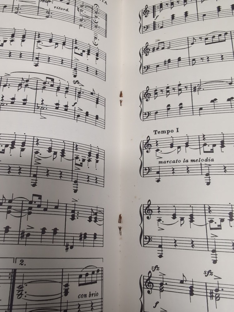 Ten Famous Waltzes