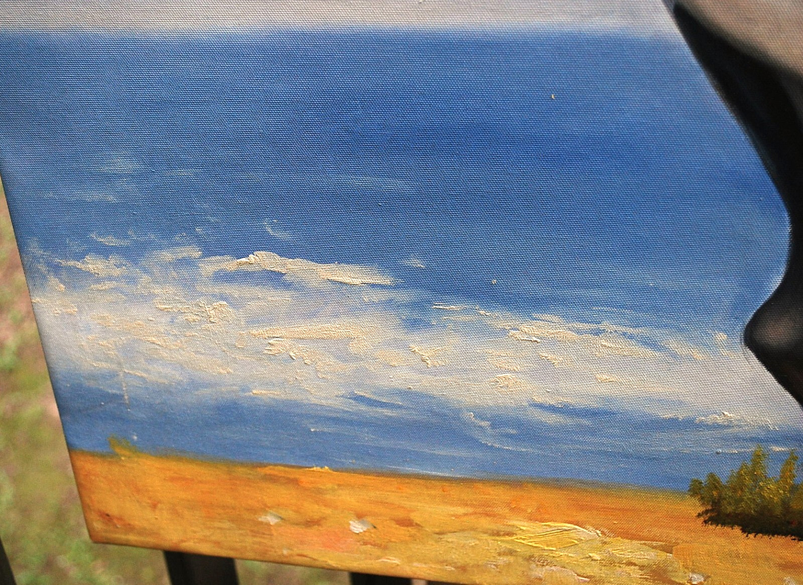 HORSE RUNNING ALONG OCEAN Original Art ACRYLIC PAINTING/CANVAS Signed 36" x 24"