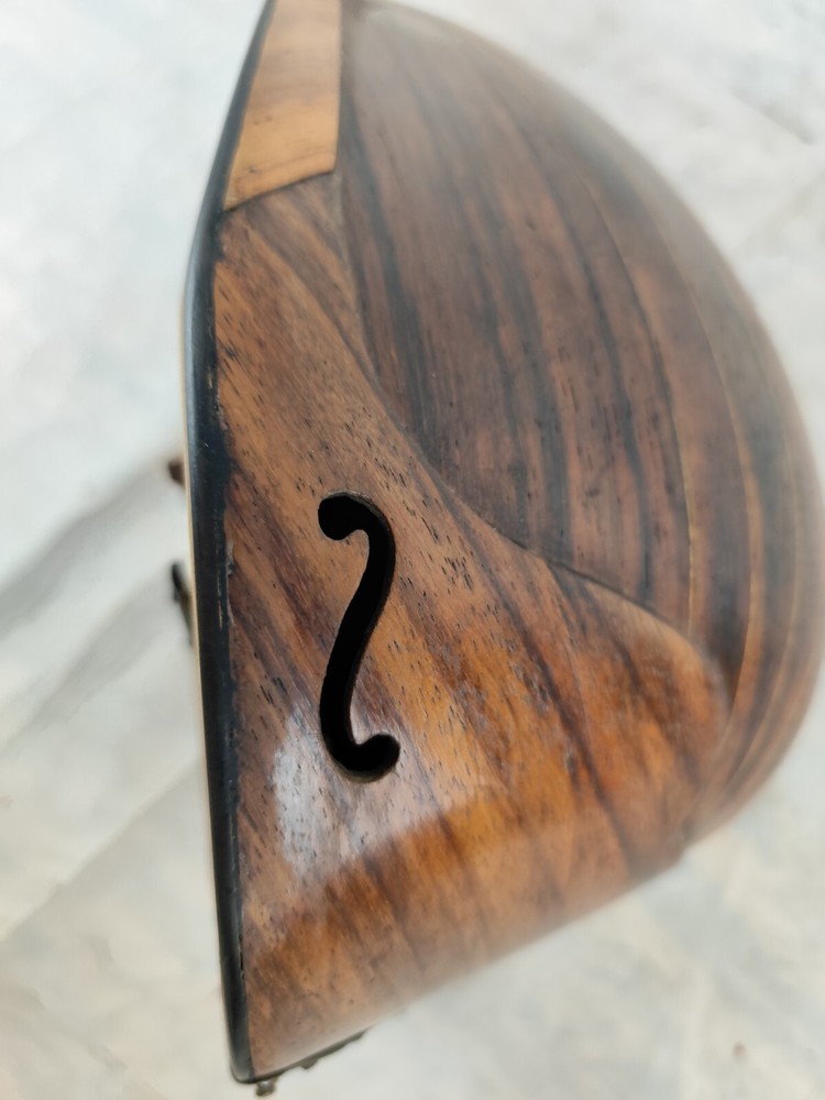 Mandolin 4/4 E. De Cristofaro 1901 Naples 曼陀林 만돌린マンドリン