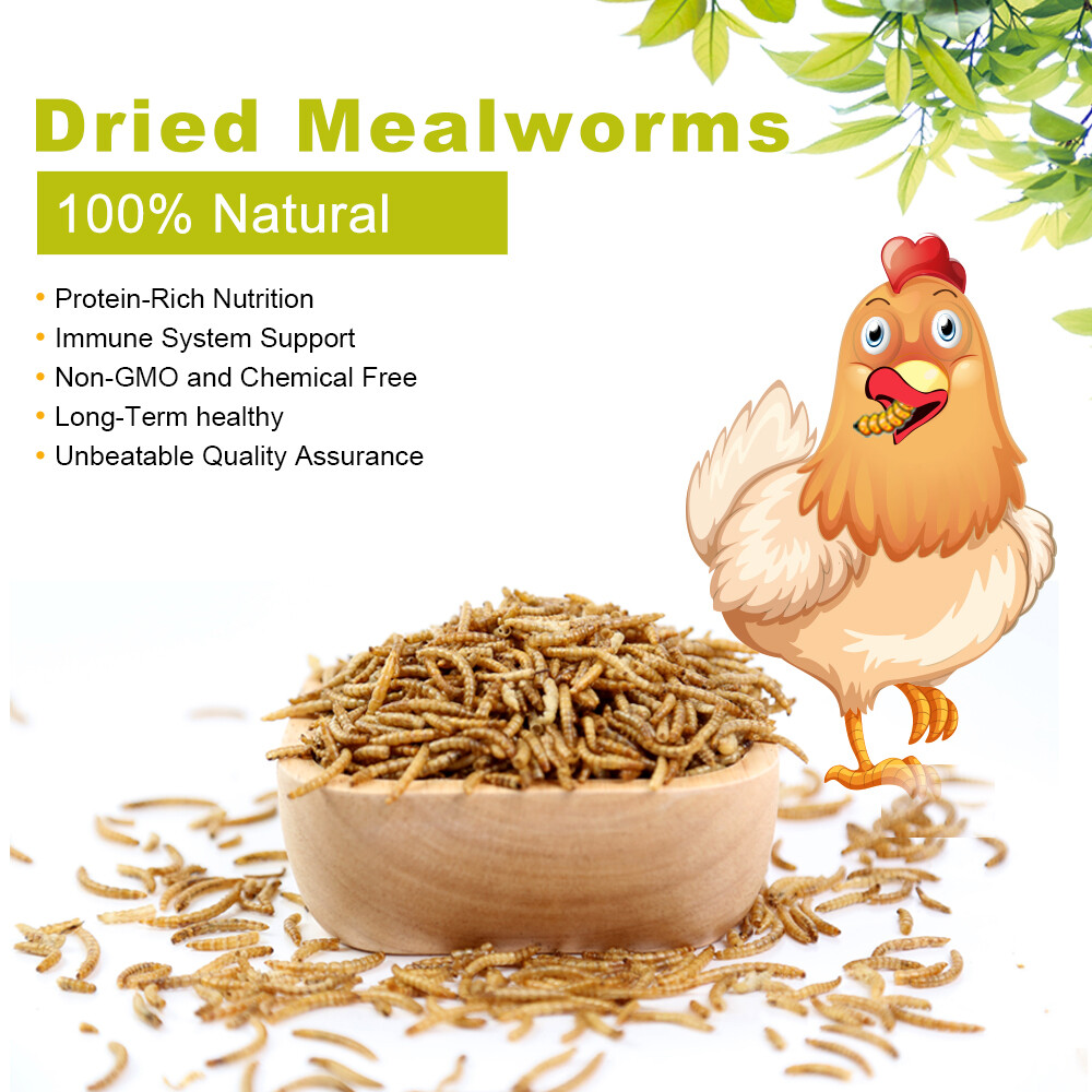 20 lbs Bulk Dried Mealworms NON GMO Organic For Fish Bluebirds Chickens Gliders