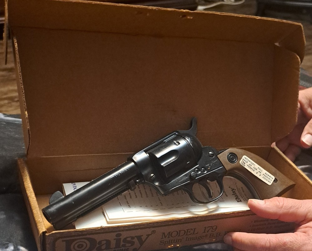 Daisy Model 179