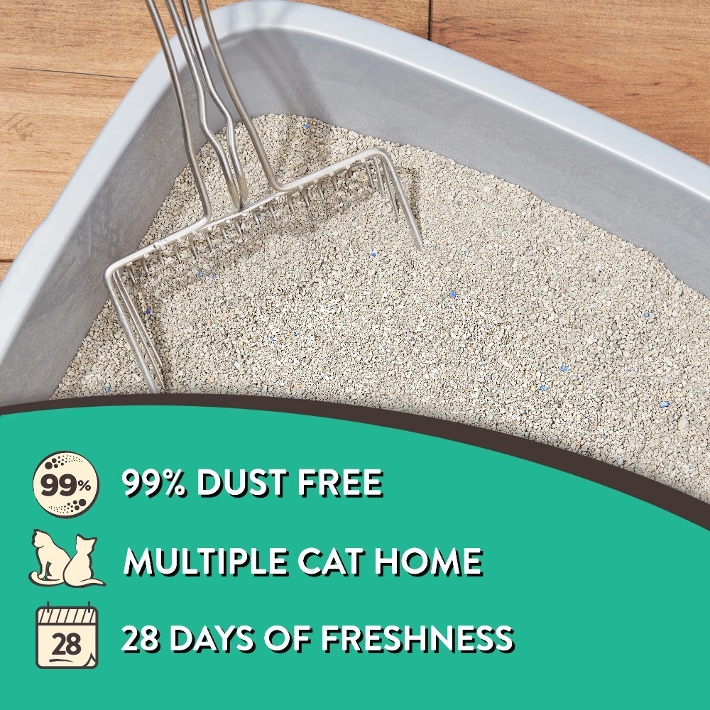 Scoopable Tight Clumping Cat Litter Fresh Scent 4 Pack 20 lb