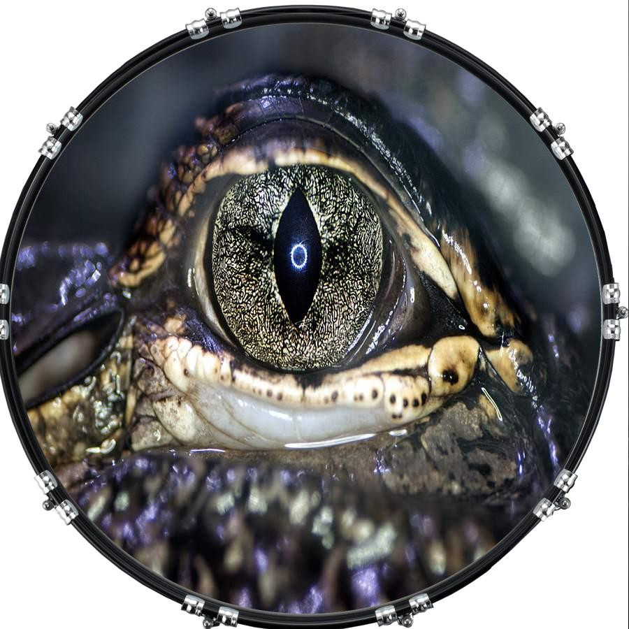 20" Custom Bass Kick Drum Front Head Graphical Eye Crocodile 2