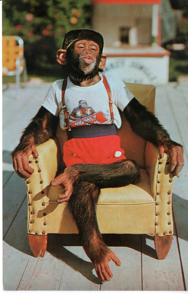 WAITING FOR A KISS - PC2016