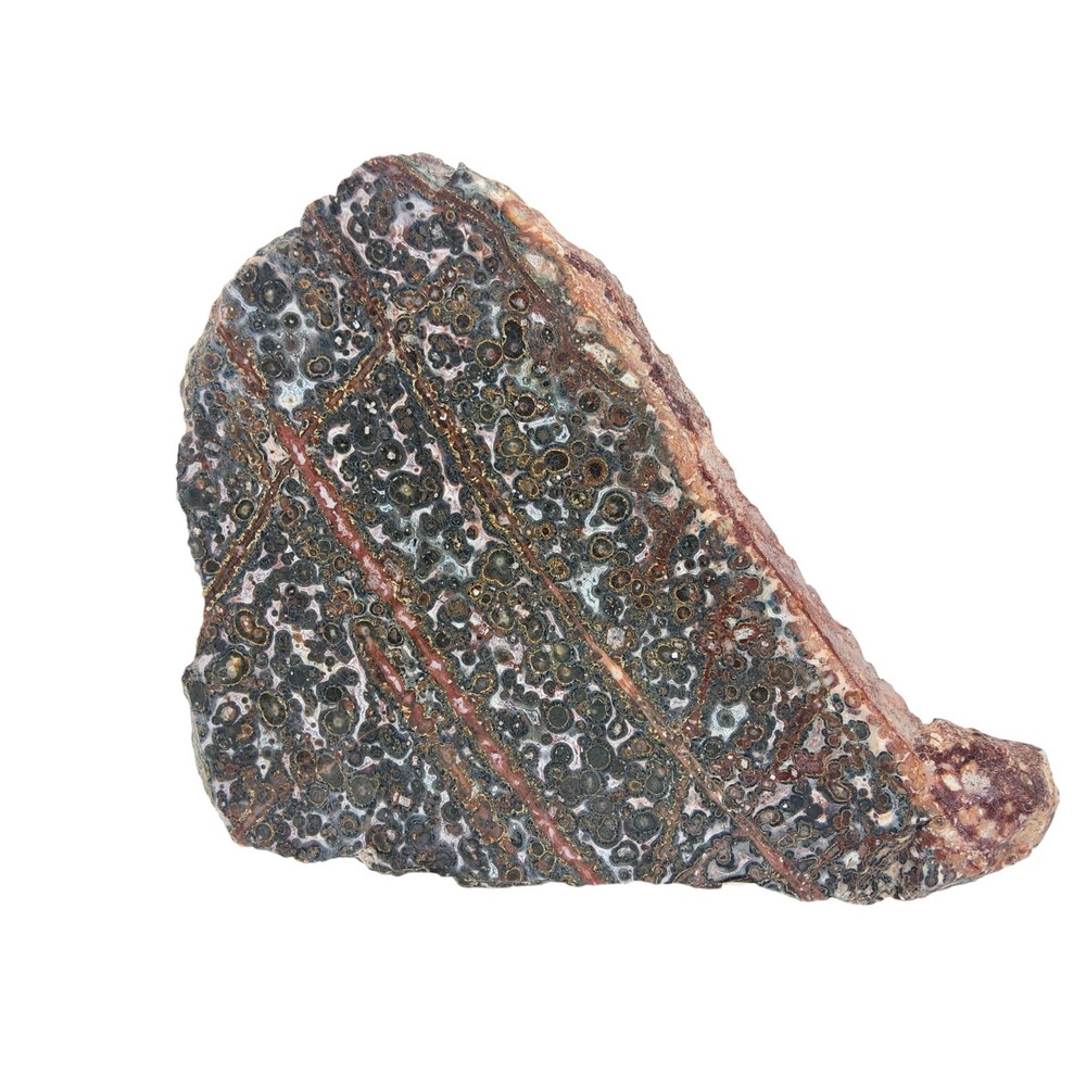 Leopard Jasper, slab, cabbing rough, lapidary, #R-6862