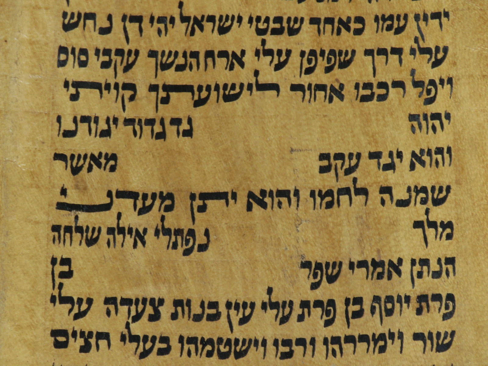 TORAH SCROLL BIBLE VELLUM MANUSCRIPT 300 YRS OLD YEMEN COMPLETE Book of Genesis