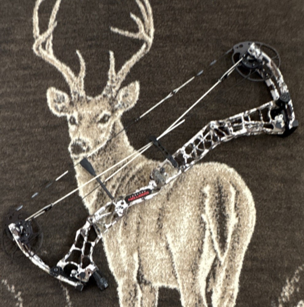 Darton Sequel 31 Compound Bow Multicolor Archery Hunting Target Practice