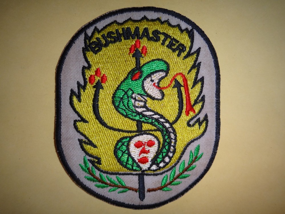 Vietnam War US 5th Special Forces Group MACV-SOG RT BUSHMASTER CCN Patch