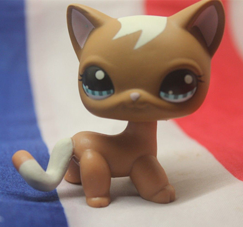 5pcs/lot Littlest Pet Shop toys LPS Random Short Hair Cat Animal Figures New