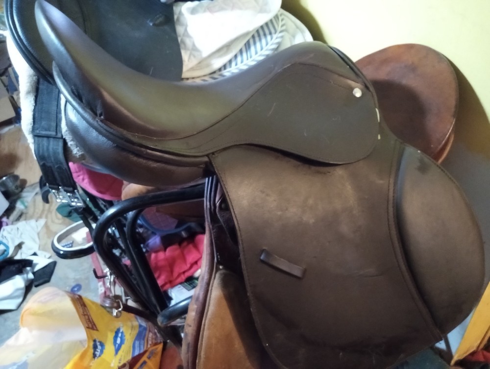english saddle