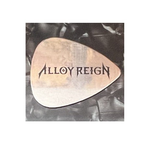 ALLOY REIGN Stainless Steel Guitar Pick