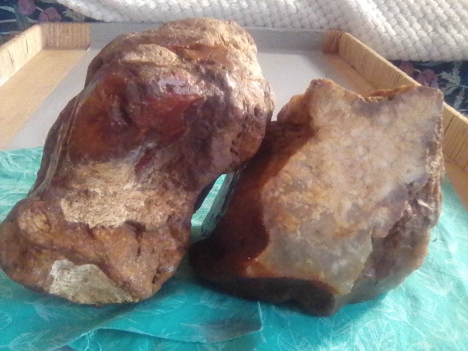 Petrified Wood