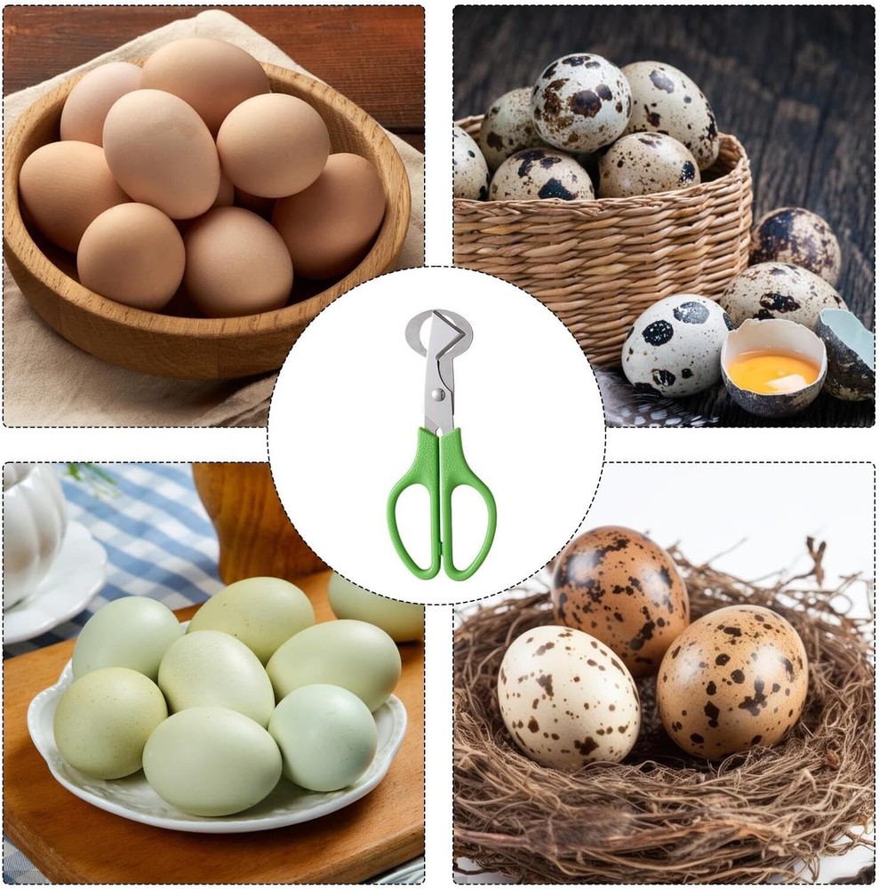 Quail Roast egg scissors eggshell scissors eggshell opening divider scissors Lot