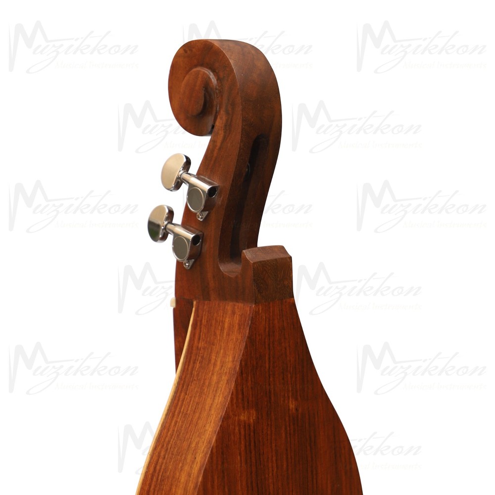 Heartland Mountain Dulcimer 4 String, Appalachian Dulcimer with Bag and Strings