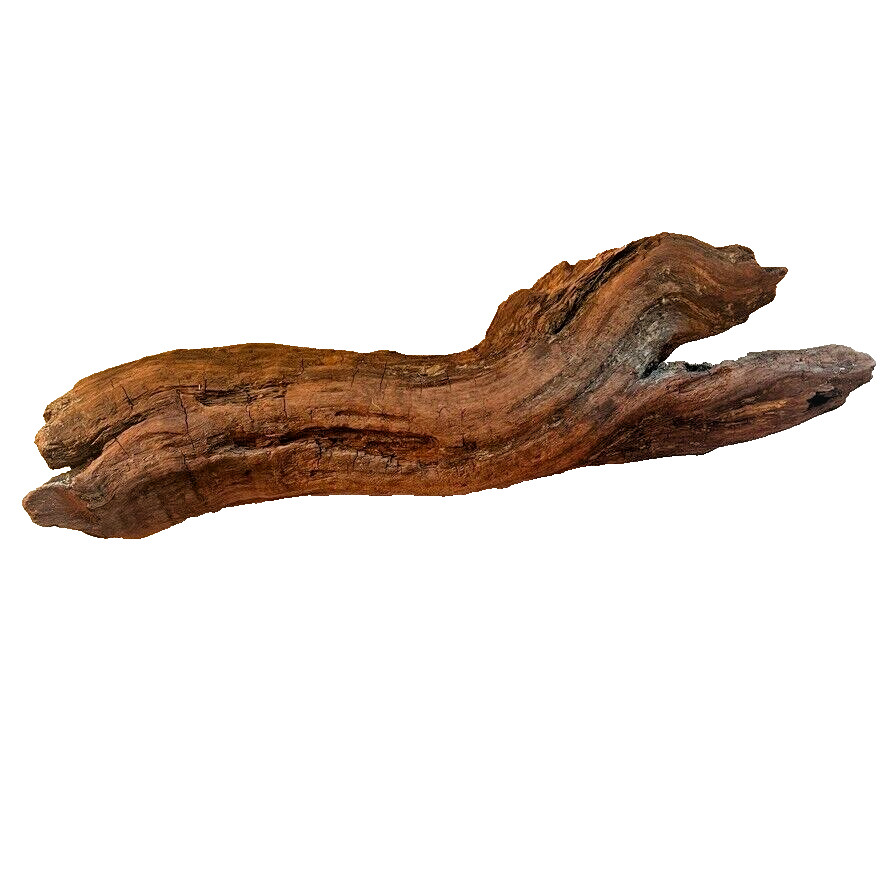 18" x 5" Redwood Driftwood Organic Craft Aquarium Rustic Boho Natural Wood