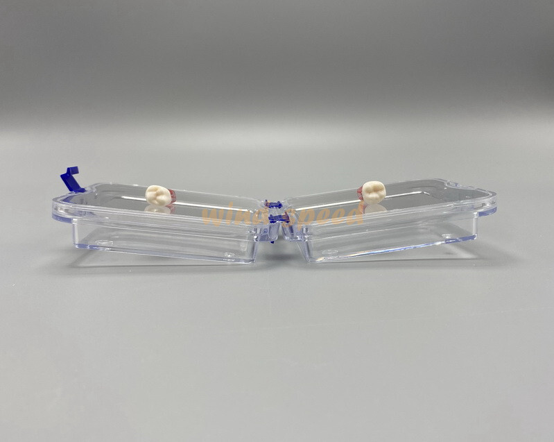 Denture Hinged Display Box Storage Jewelry Chip Boxes False Teeth Membrane Case
