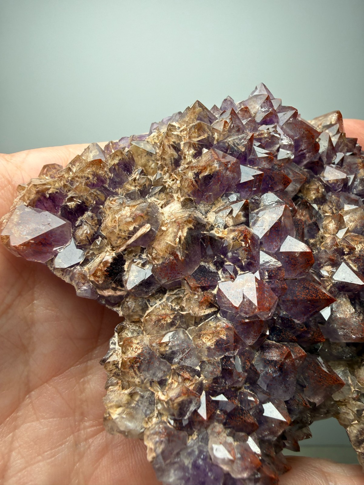 COLLECTORS!! Hematite included Amethyst plate - Blue Point Mine- Thunder Bay, CA