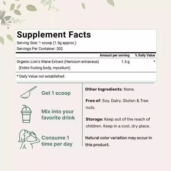 Lion's Mane Mushroom Powder | Pure Lions Mane 10:1 Strength Extract 16oz Organic