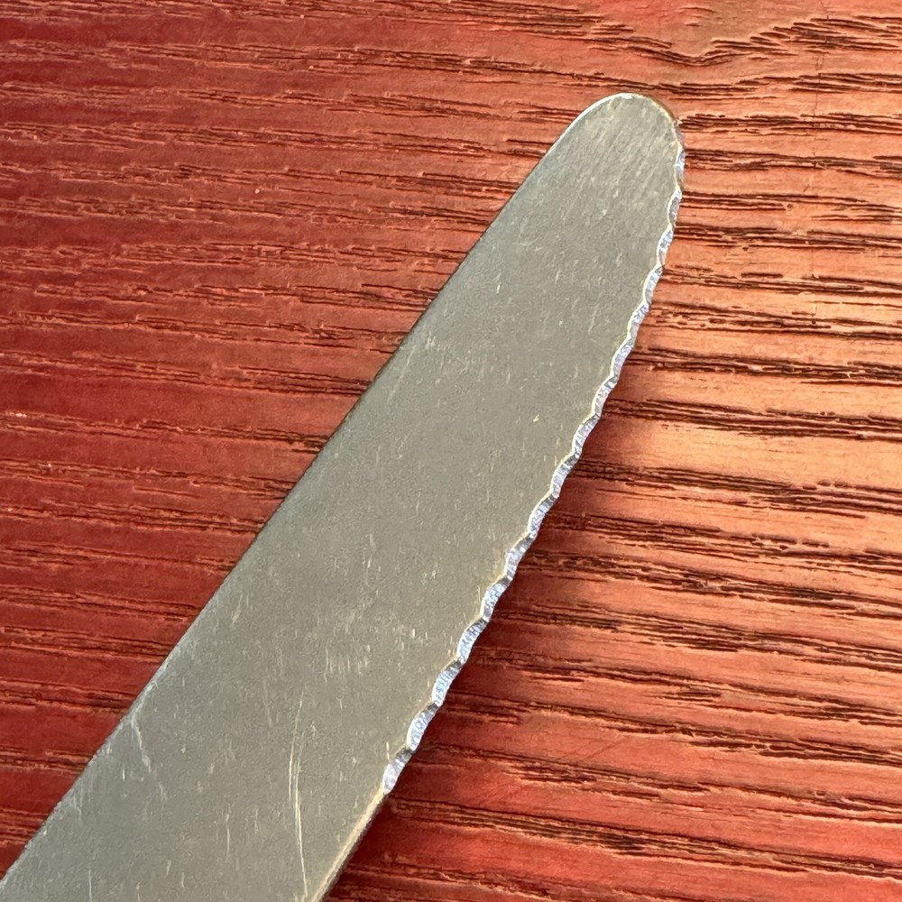 Paella By Oneida Silver Silverplate Serrated Solid Handle Dinner Knife 9 1/5”