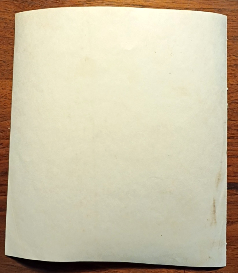 Original C. 1920 Photo ~ Atlanta Life Insurance Chairman Edwin Simon (1908-1984)